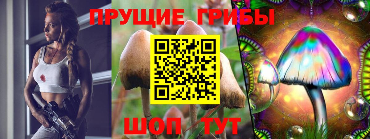 Псилоцибиновые грибы Magic Shrooms  Псилоцибиновые грибы мицелий  Нововоронеж  Вход с VPN 