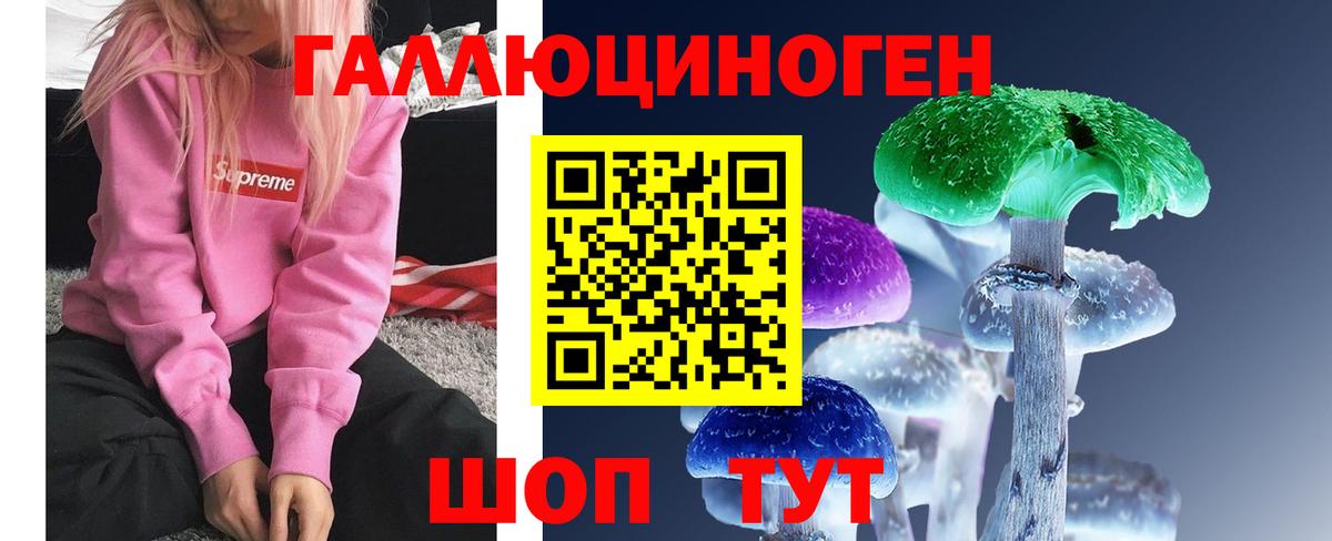 Галлюциногенные грибы Cubensis Нововоронеж