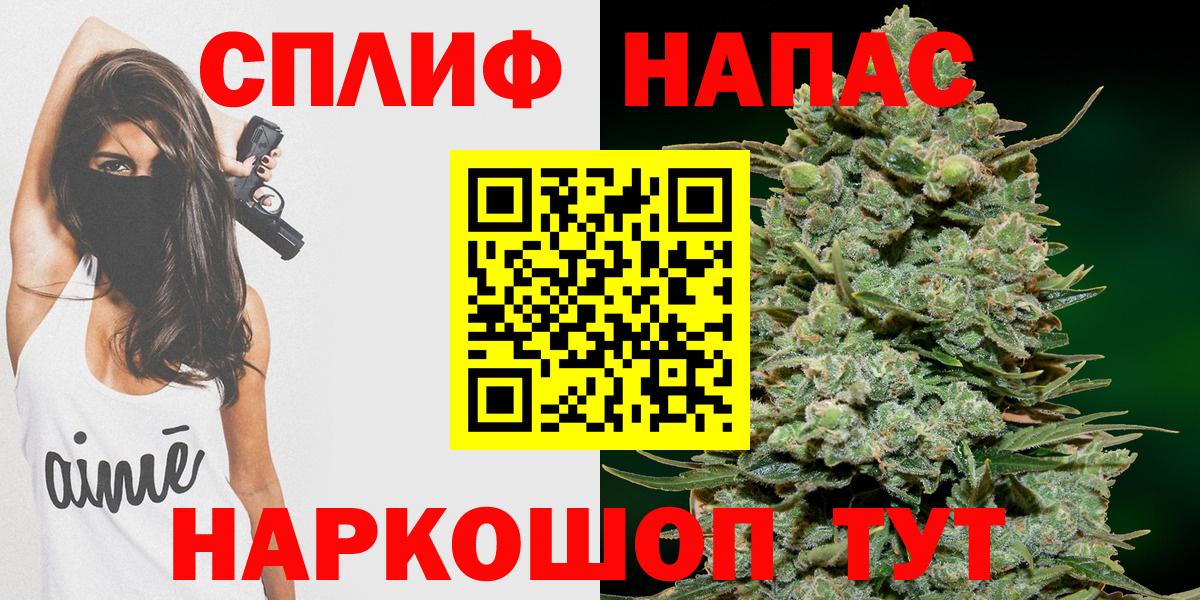 Канабис сатива Нововоронеж